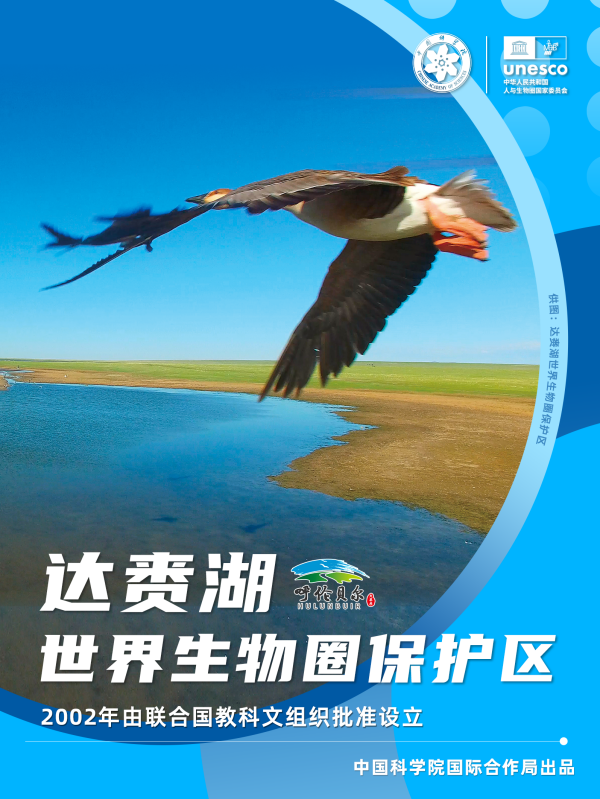 黄A无码片内射无码视频