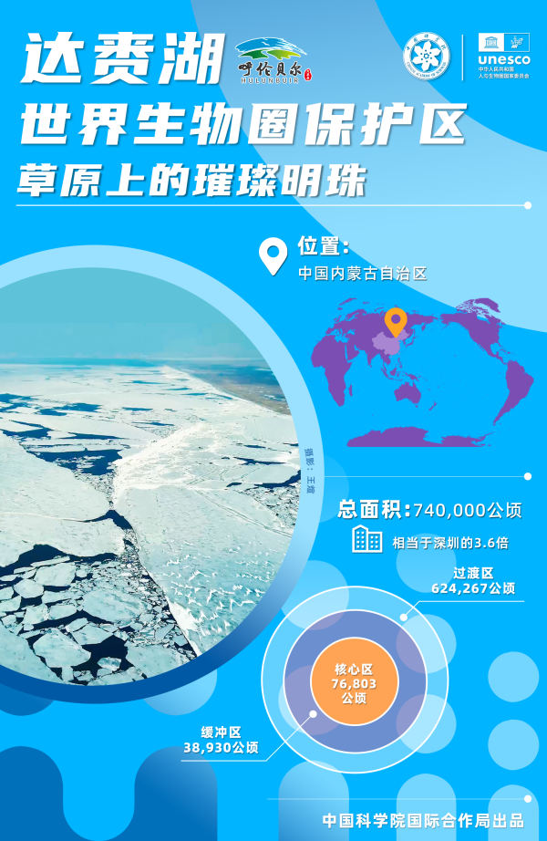 黄A无码片内射无码视频