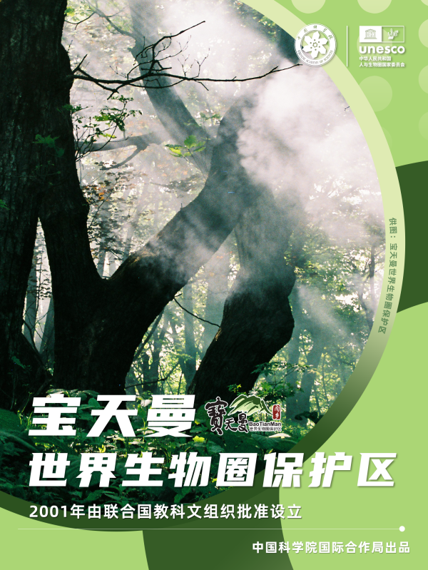 黄A无码片内射无码视频