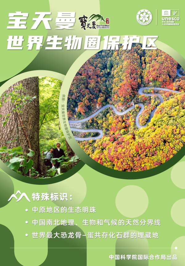 黄A无码片内射无码视频