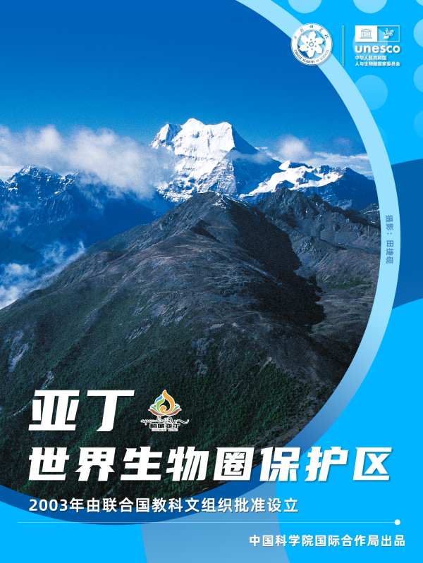 黄A无码片内射无码视频