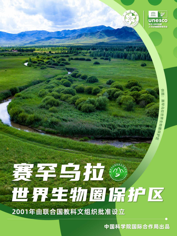 黄A无码片内射无码视频