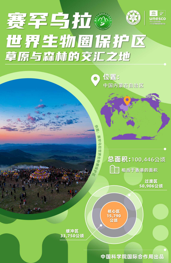黄A无码片内射无码视频