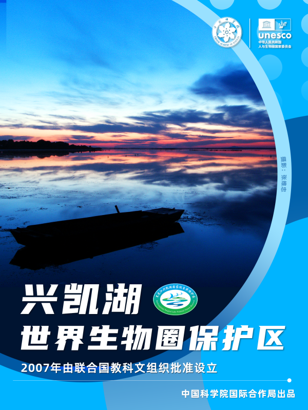 黄A无码片内射无码视频