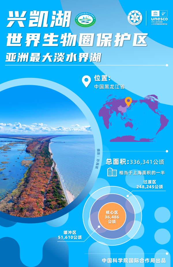 黄A无码片内射无码视频
