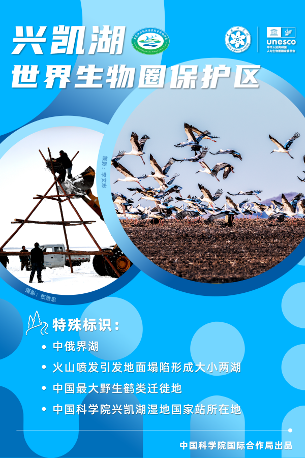 黄A无码片内射无码视频
