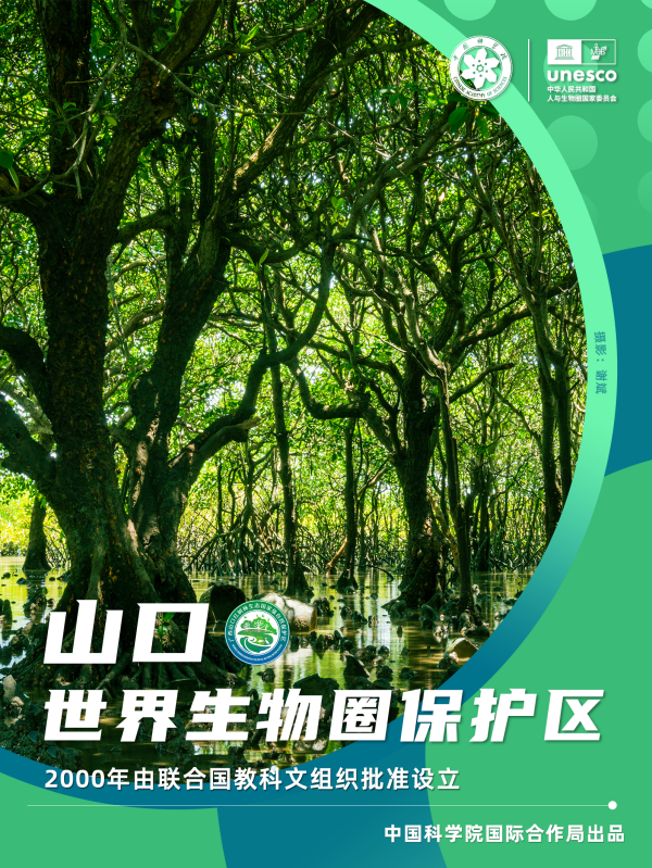 黄A无码片内射无码视频