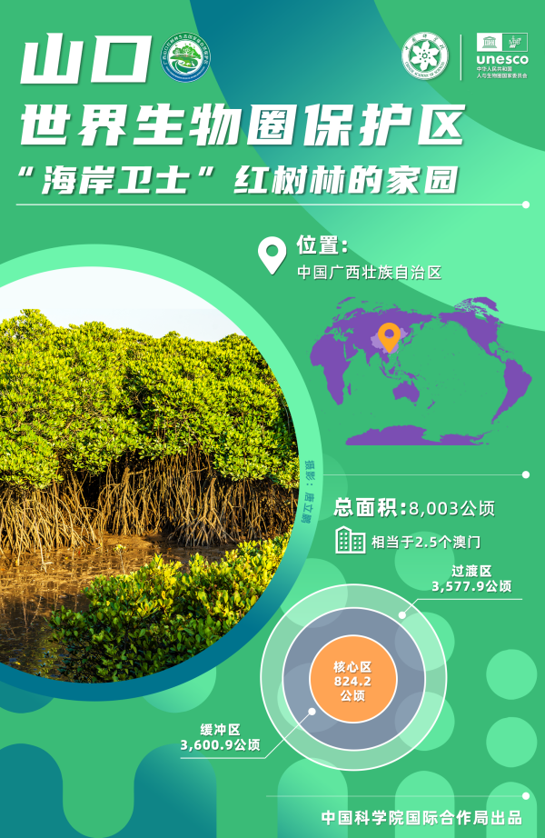黄A无码片内射无码视频