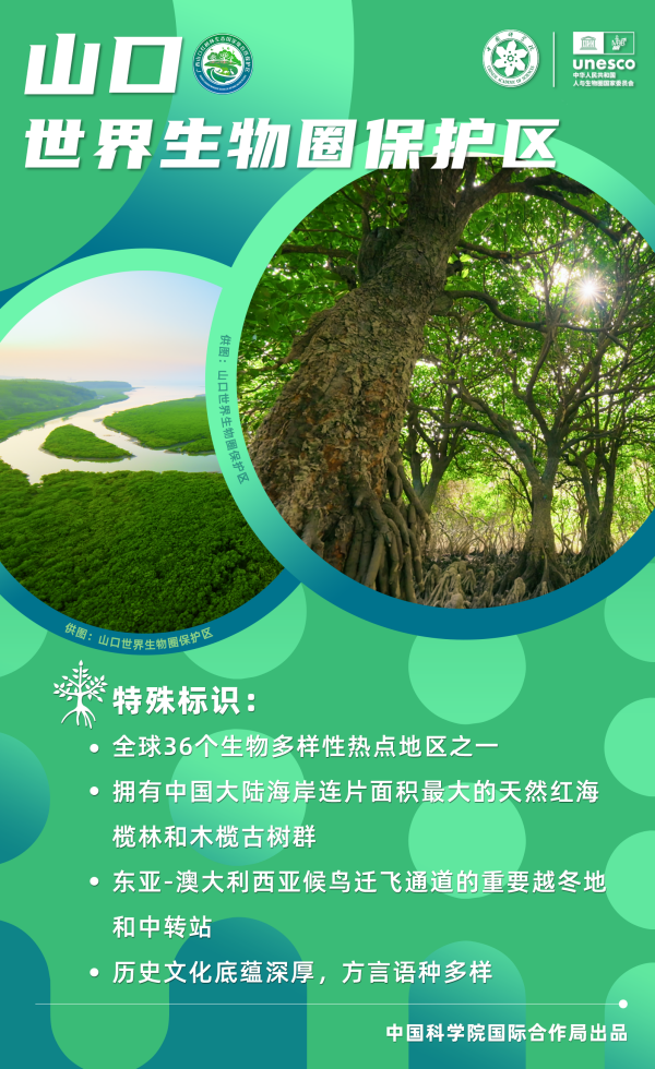 黄A无码片内射无码视频