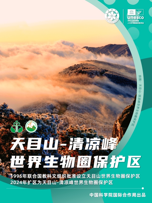 黄A无码片内射无码视频