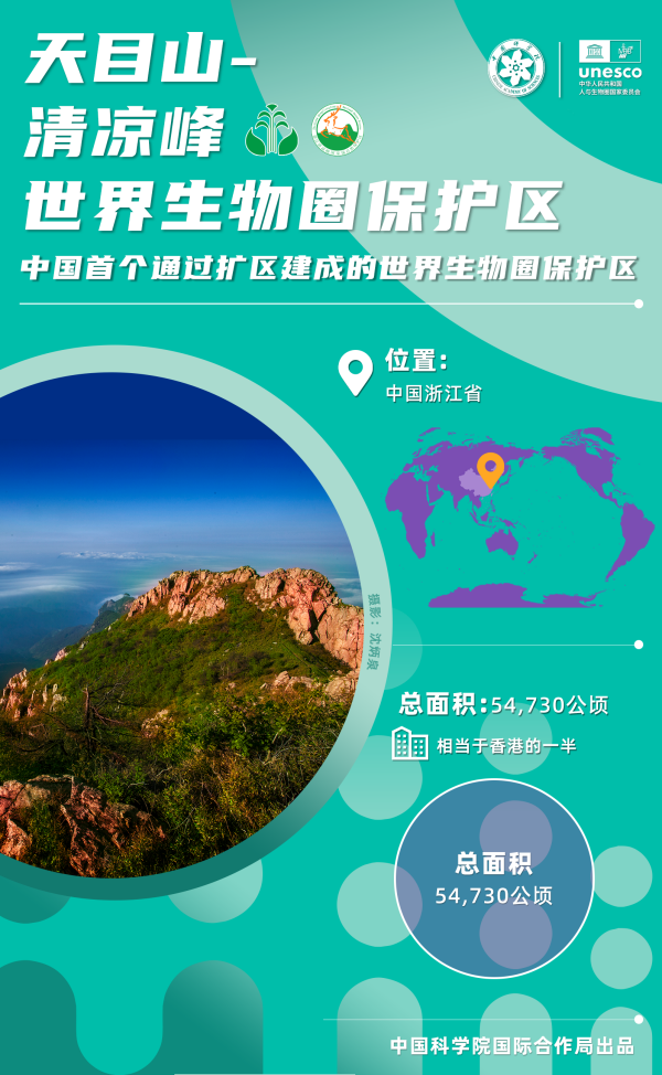 黄A无码片内射无码视频