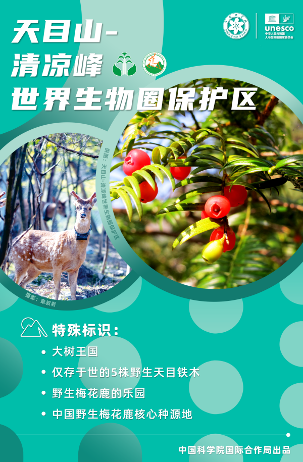 黄A无码片内射无码视频