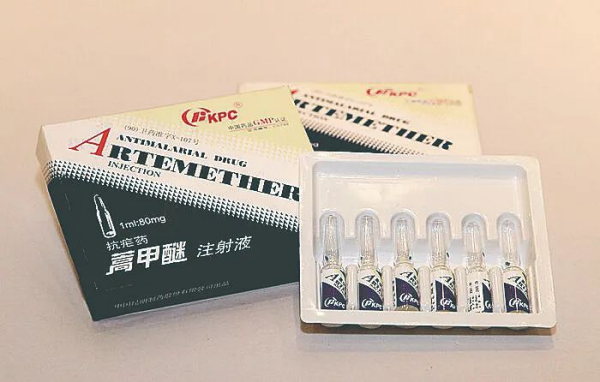黄A无码片内射无码视频