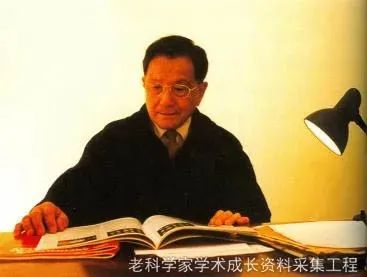 黄A无码片内射无码视频
