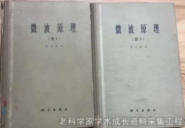 黄A无码片内射无码视频