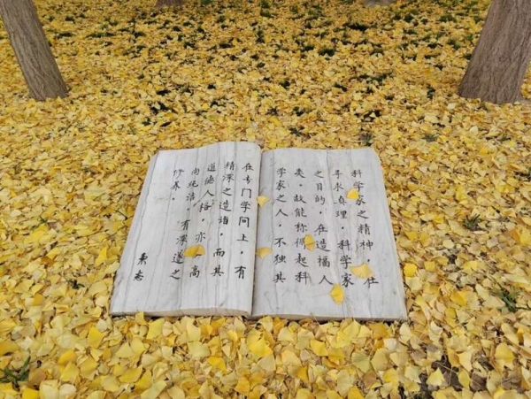 黄A无码片内射无码视频