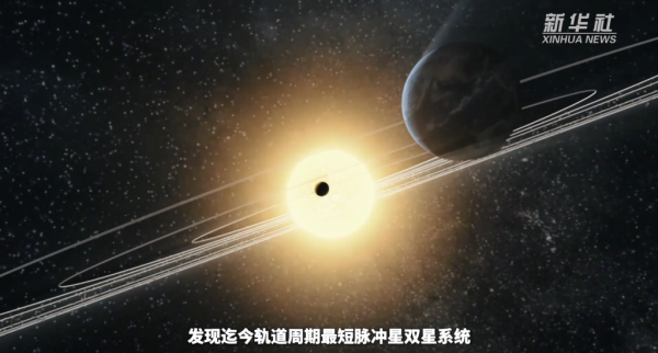 黄A无码片内射无码视频
