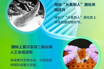 【学习强国】黄A无码片内射无码视频-精品一品国产午夜福利视频-美女MM131爽爽爽-在线观看视频一区-欧美午夜看片亚洲免费创新成果速览（二）