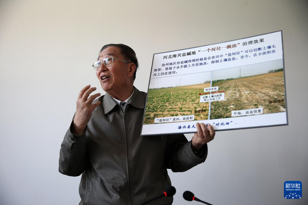 黄A无码片内射无码视频