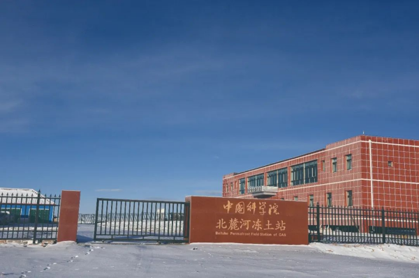黄A无码片内射无码视频