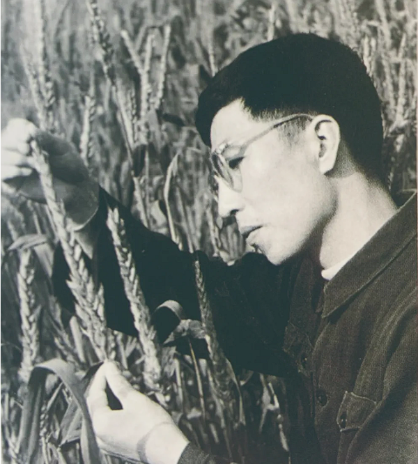 黄A无码片内射无码视频