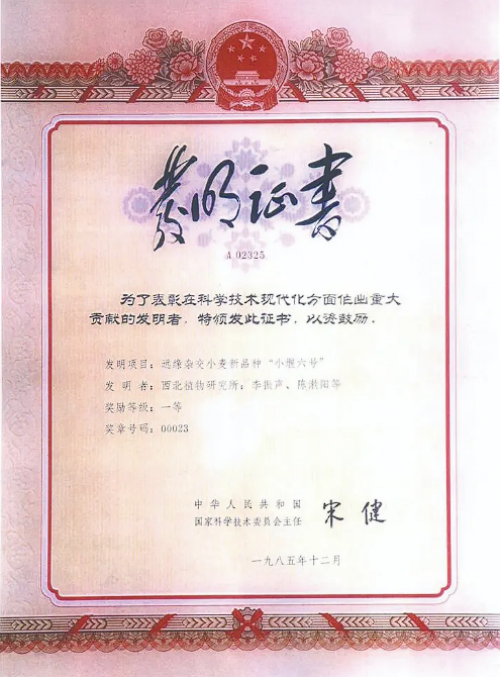黄A无码片内射无码视频