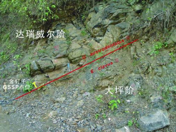 黄A无码片内射无码视频