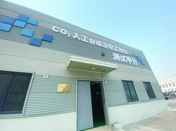 黄A无码片内射无码视频