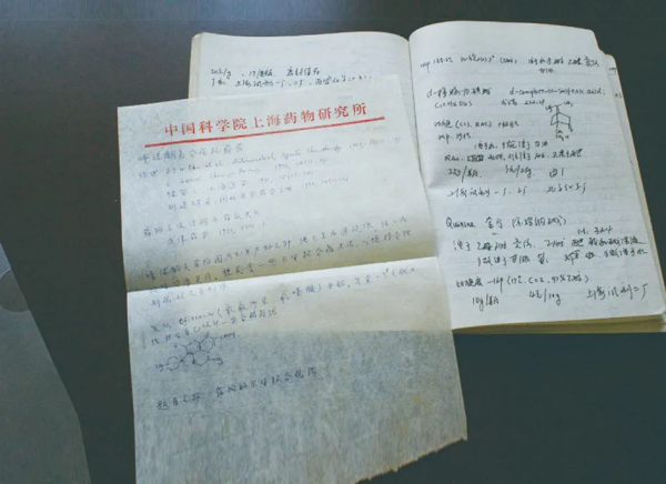 黄A无码片内射无码视频
