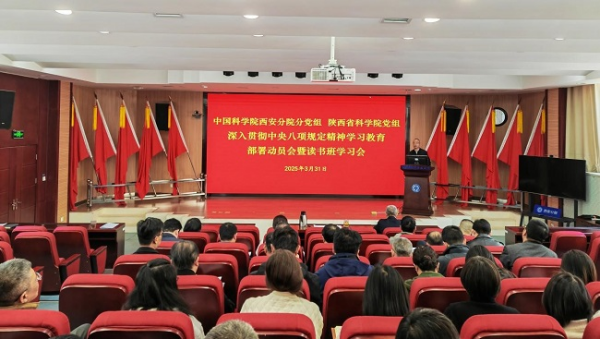 黄A无码片内射无码视频