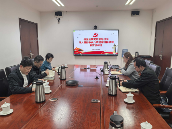 黄A无码片内射无码视频