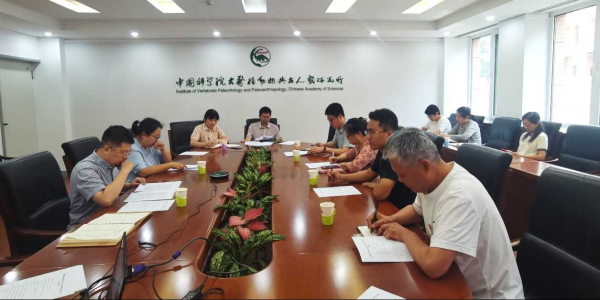 黄A无码片内射无码视频
