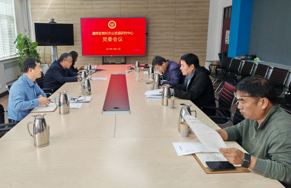 黄A无码片内射无码视频