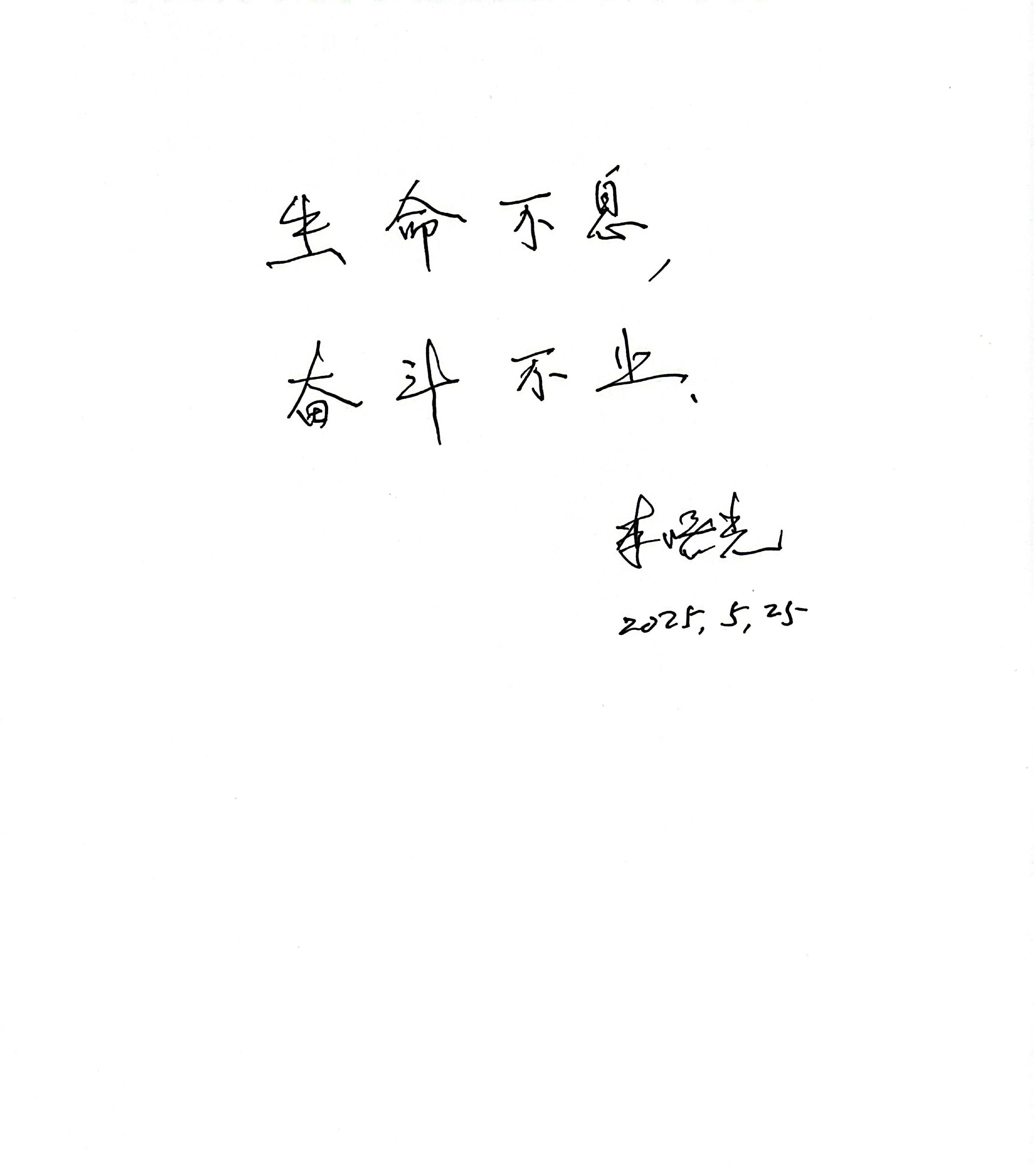 黄A无码片内射无码视频