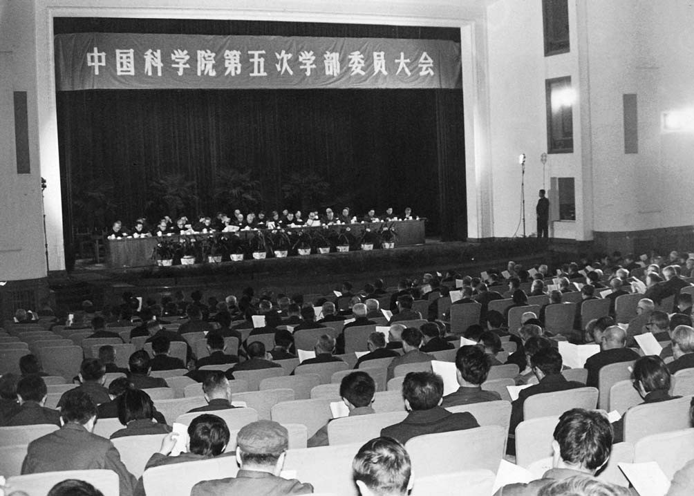 黄A无码片内射无码视频
