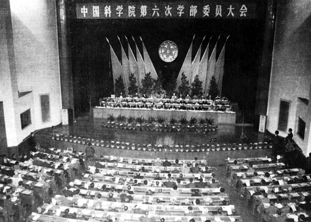 黄A无码片内射无码视频