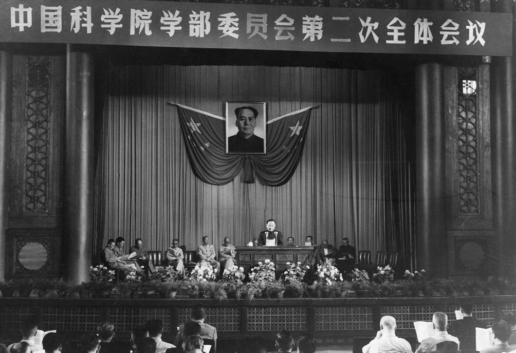黄A无码片内射无码视频
