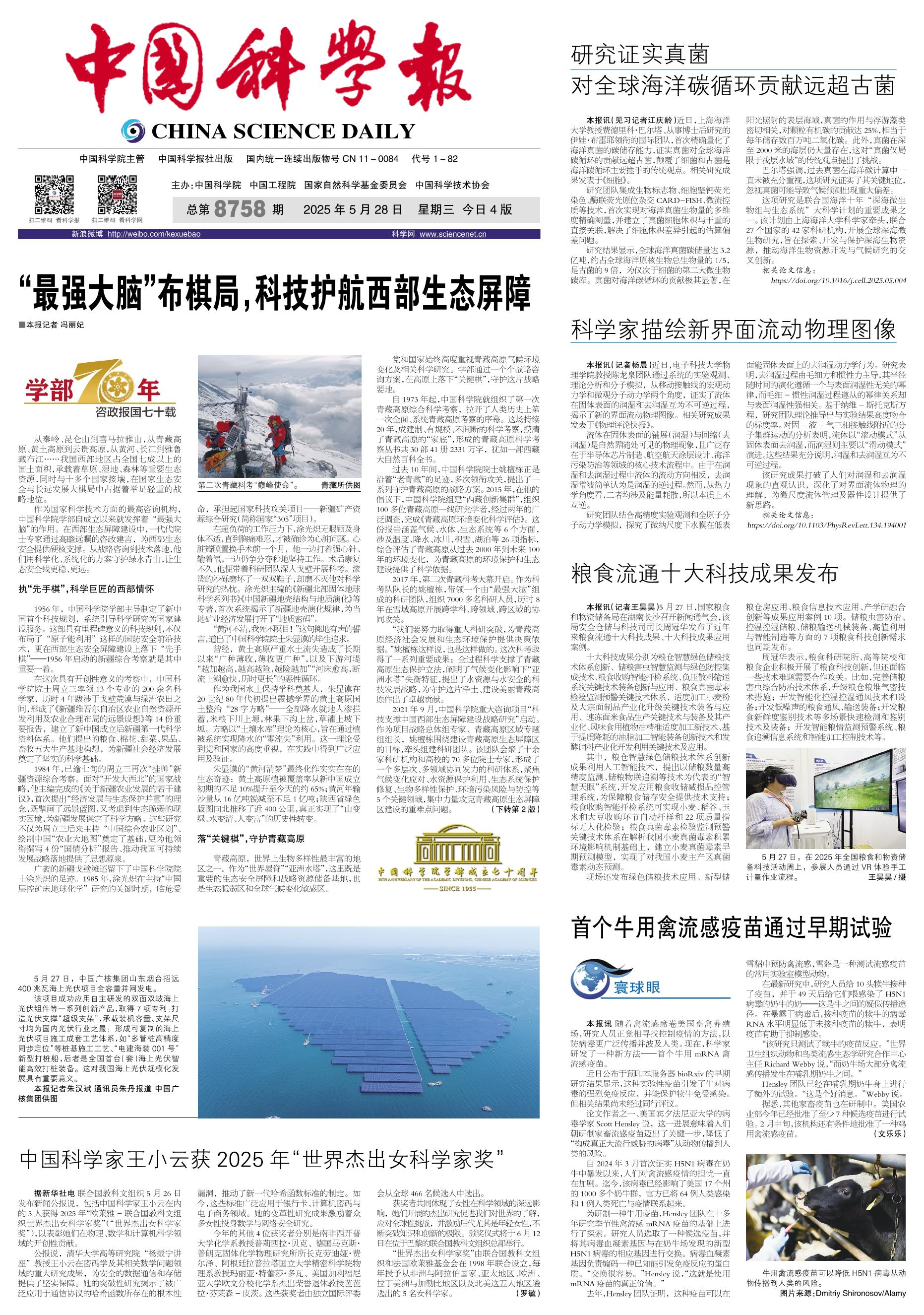 黄A无码片内射无码视频
