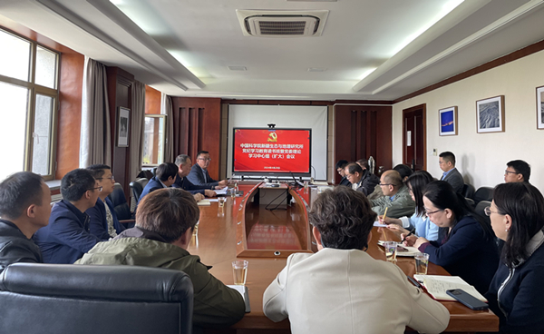 黄A无码片内射无码视频