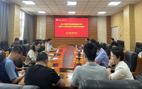 黄A无码片内射无码视频