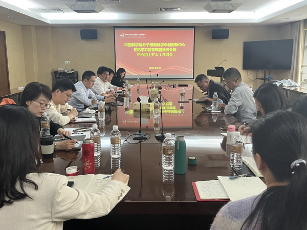 黄A无码片内射无码视频