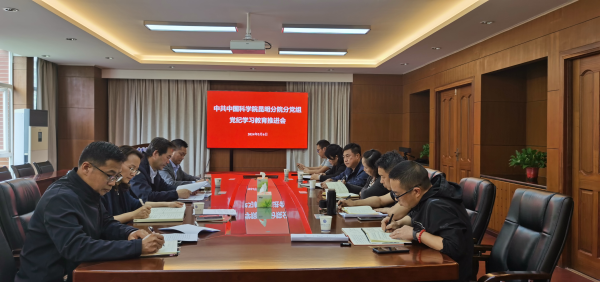 黄A无码片内射无码视频