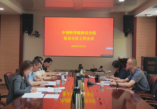 黄A无码片内射无码视频