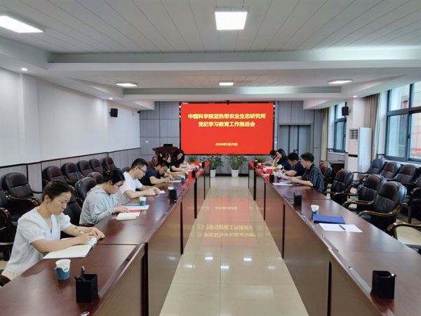 黄A无码片内射无码视频