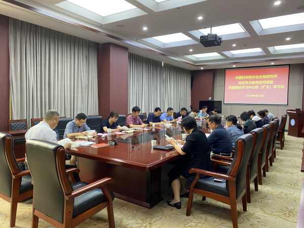 黄A无码片内射无码视频
