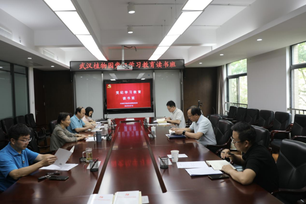 黄A无码片内射无码视频
