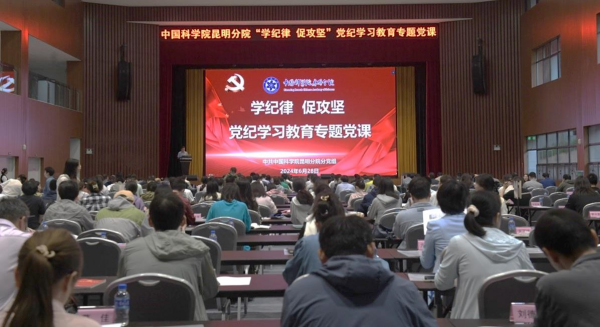 黄A无码片内射无码视频