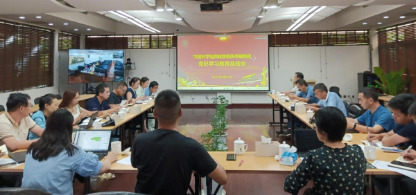黄A无码片内射无码视频