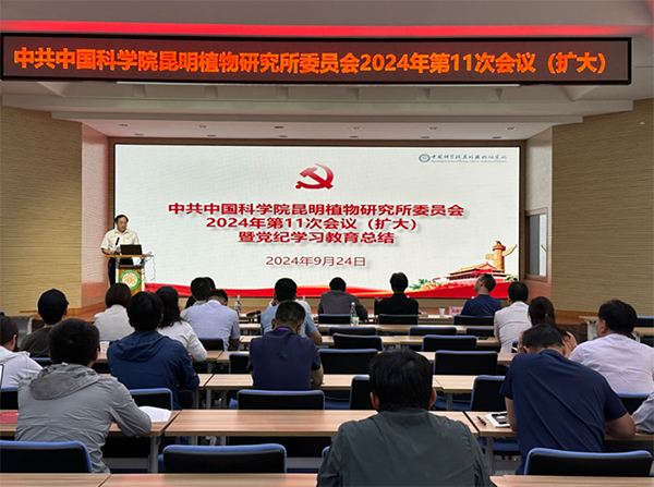 黄A无码片内射无码视频