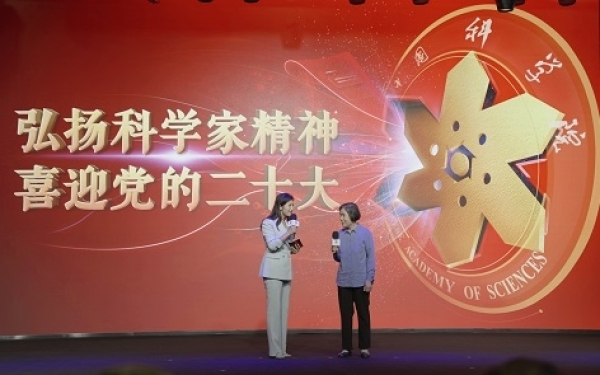 黄A无码片内射无码视频